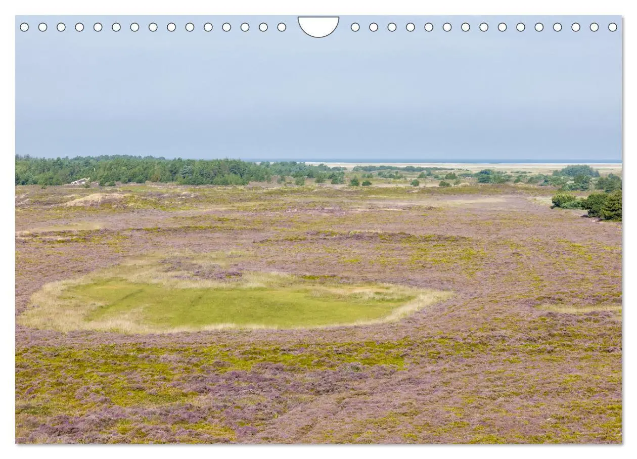 Bild: 9783435757800 | Die Insel Römö (Wandkalender 2025 DIN A4 quer), CALVENDO...