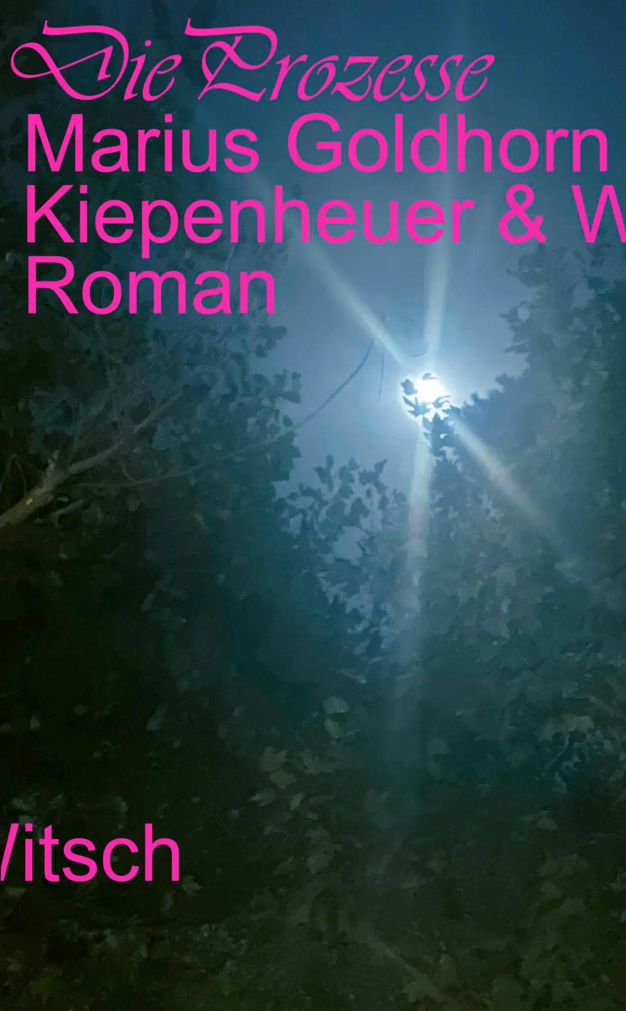 Cover: 9783462007800 | Die Prozesse | Roman | Marius Goldhorn | Buch | 288 S. | Deutsch