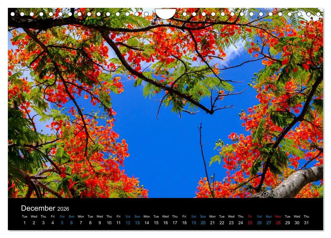 Bild: 9783516557800 | Beautiful Mauritius (Wall Calendar 2026 DIN A4 landscape), CALVENDO...