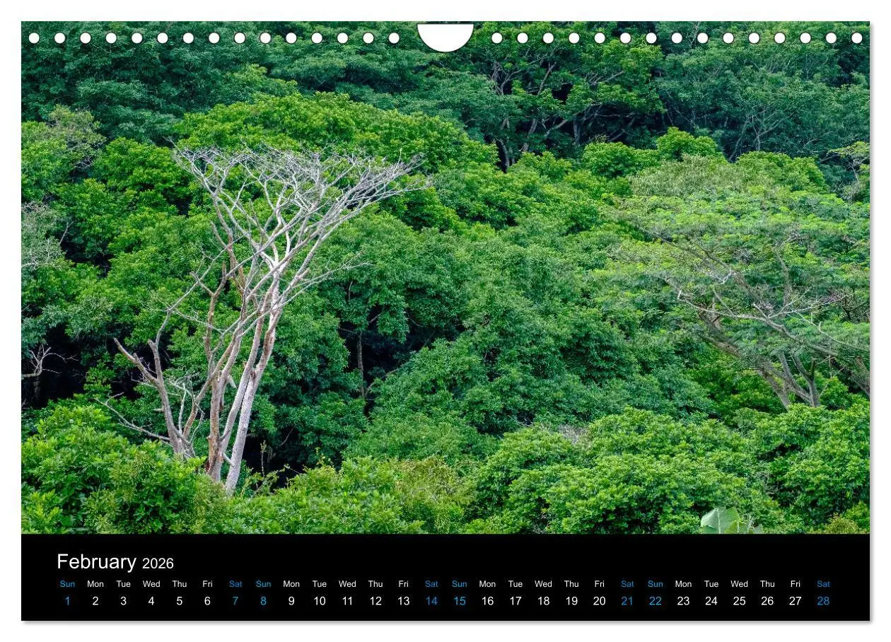 Bild: 9783516557800 | Beautiful Mauritius (Wall Calendar 2026 DIN A4 landscape), CALVENDO...