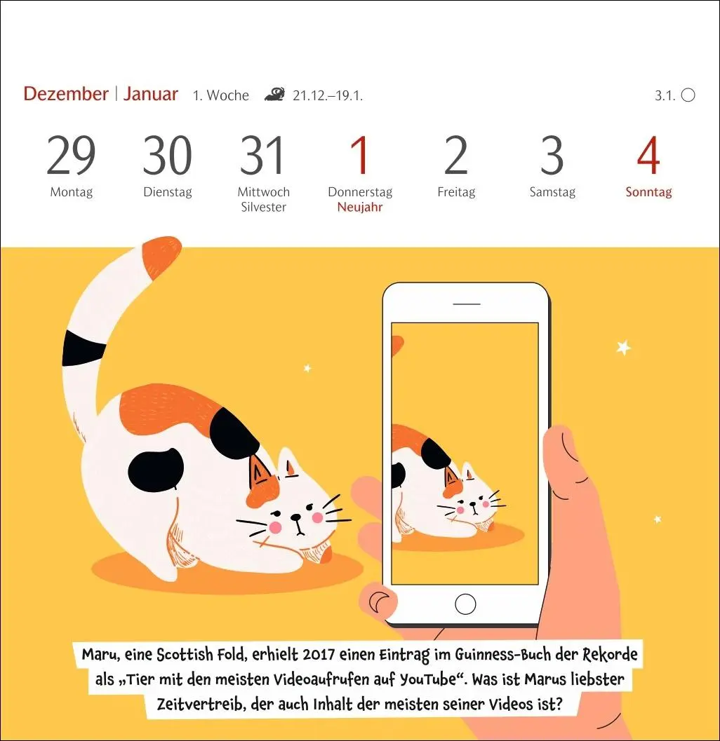 Bild: 9783840037900 | Unnützes-Wissen-Quiz Katzen Premium-Postkartenkalender - Kalender...