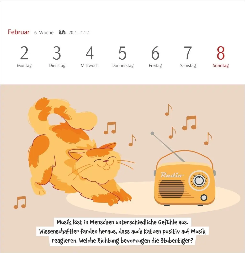 Bild: 9783840037900 | Unnützes-Wissen-Quiz Katzen Premium-Postkartenkalender - Kalender...