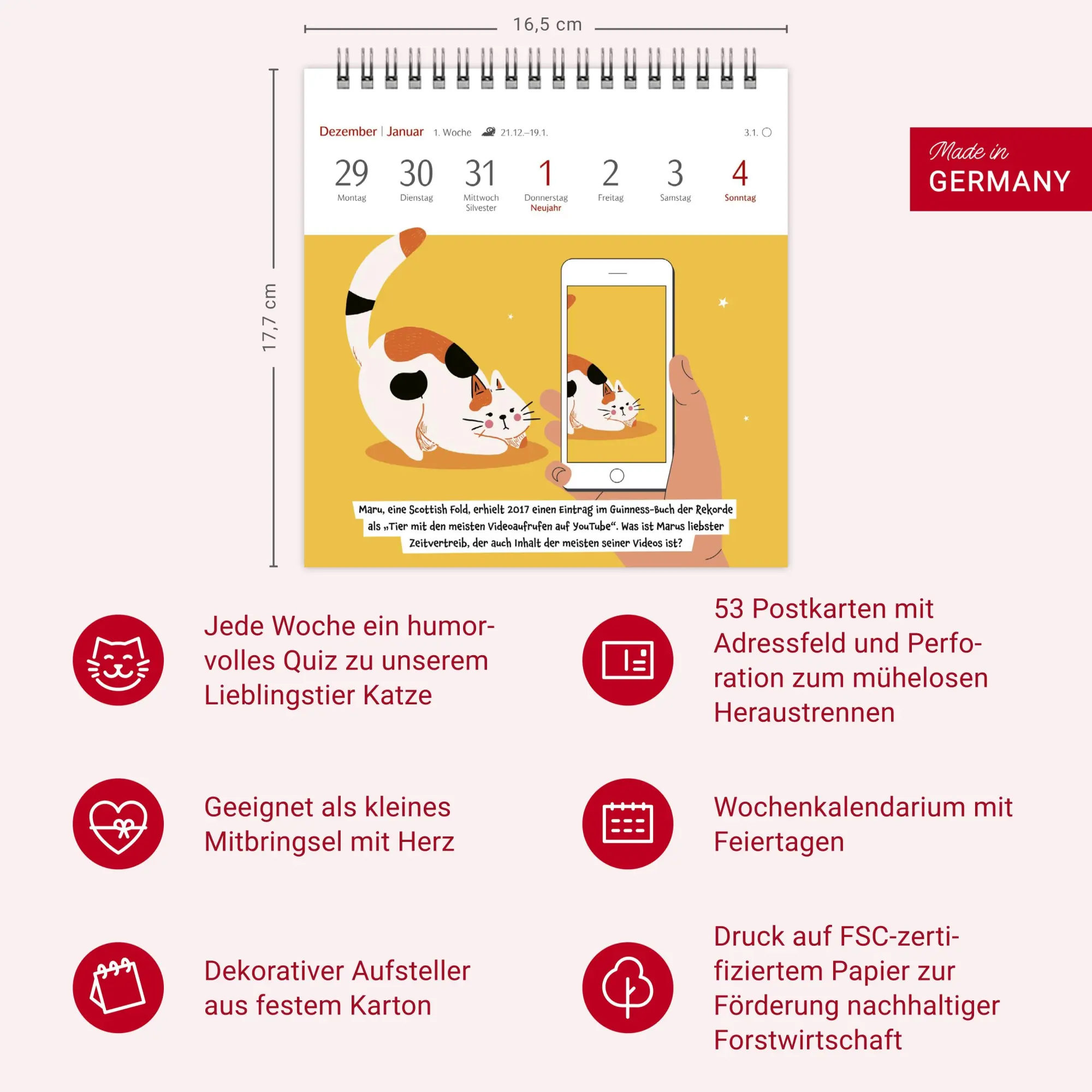 Bild: 9783840037900 | Unnützes-Wissen-Quiz Katzen Premium-Postkartenkalender - Kalender...