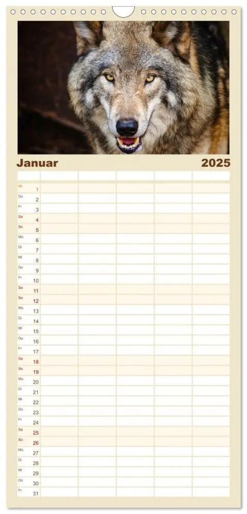 Bild: 9783457108000 | Familienplaner 2025 - Begegnung mit dem Wolf mit 5 Spalten...