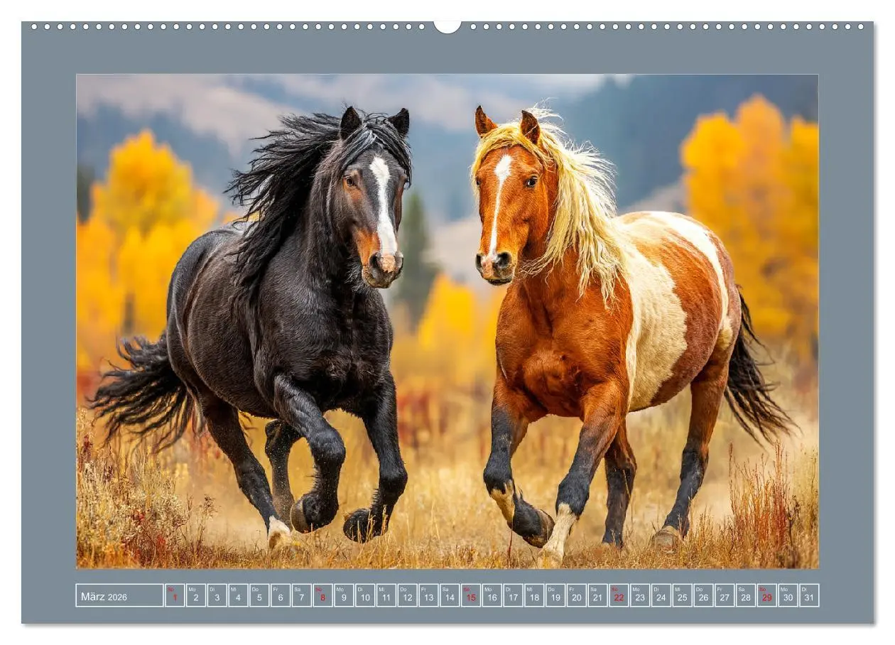 Bild: 9783457418000 | Mustangs. Pferde in ihrer wildesten Schönheit (hochwertiger Premium...