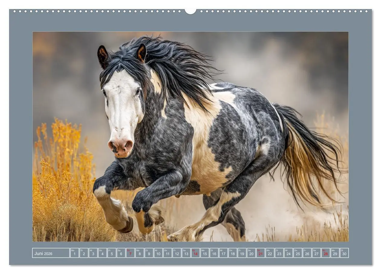 Bild: 9783457418000 | Mustangs. Pferde in ihrer wildesten Schönheit (hochwertiger Premium...