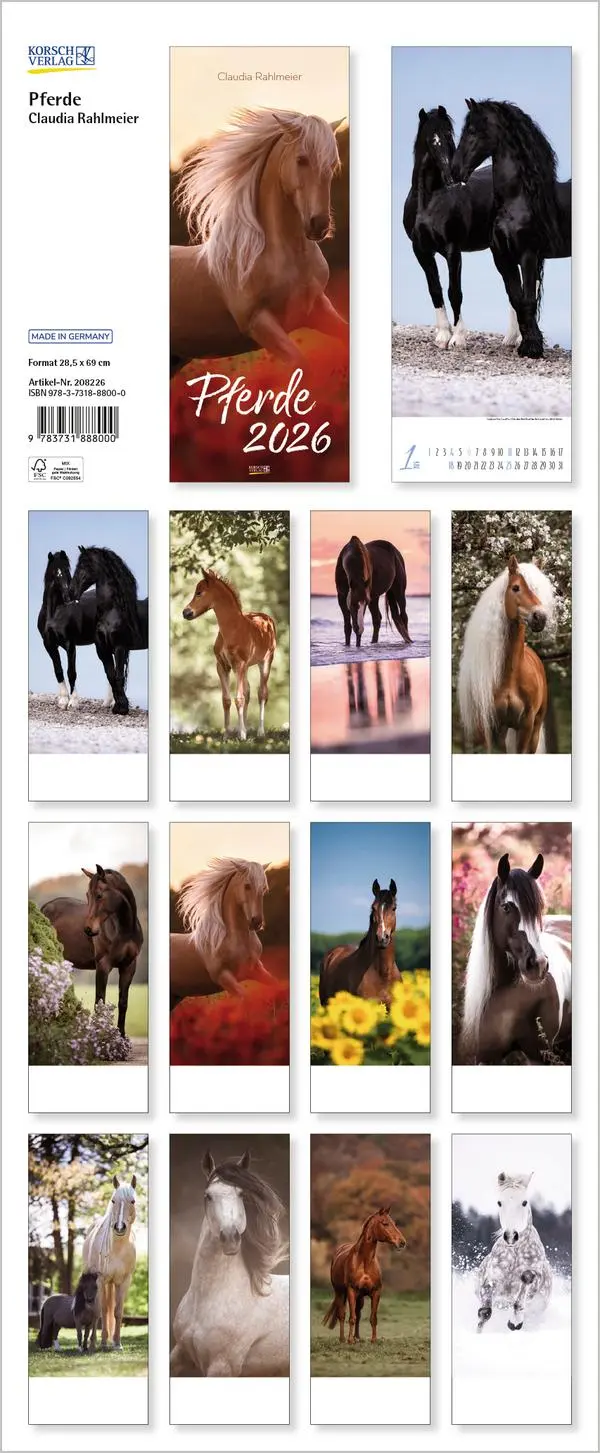 Bild: 9783731888000 | Pferde 2026 | Verlag Korsch | Kalender | Spiralbindung | 14 S. | 2026