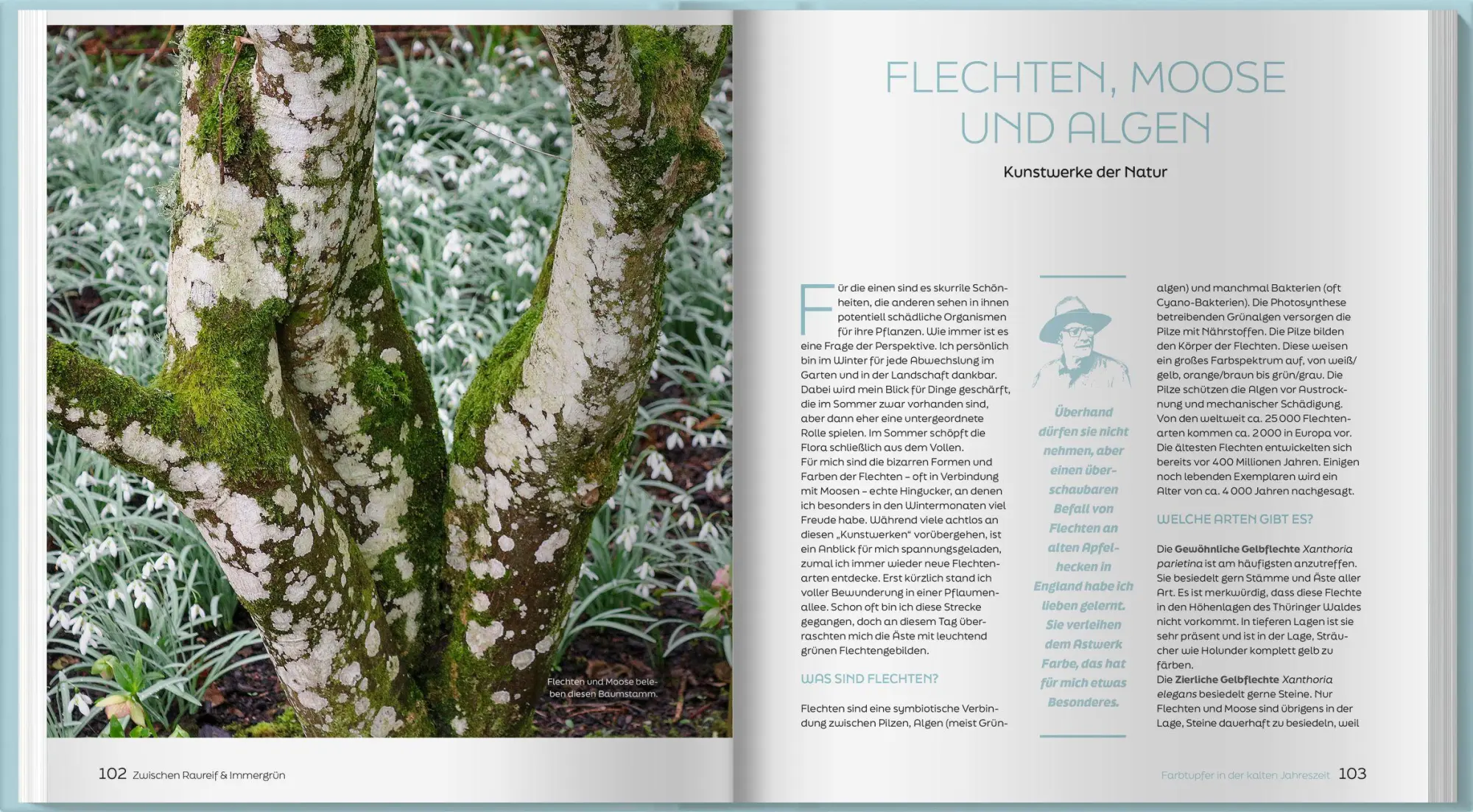 Bild: 9783784358000 | Zwischen Raureif und Immergrün | Horst Schöne | Buch | 192 S. | 2026