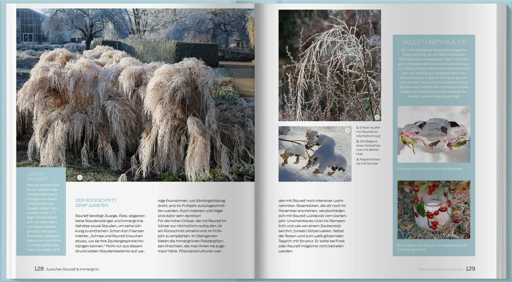 Bild: 9783784358000 | Zwischen Raureif und Immergrün | Horst Schöne | Buch | 192 S. | 2026