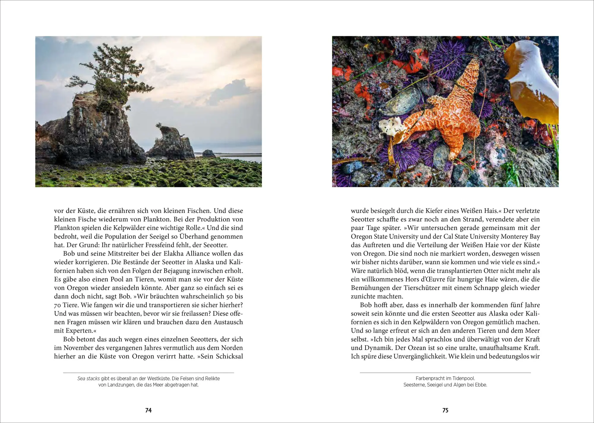 Bild: 9783866908000 | West Coastin' | Dirk Rohrbach | Buch | 192 S. | Deutsch | 2023