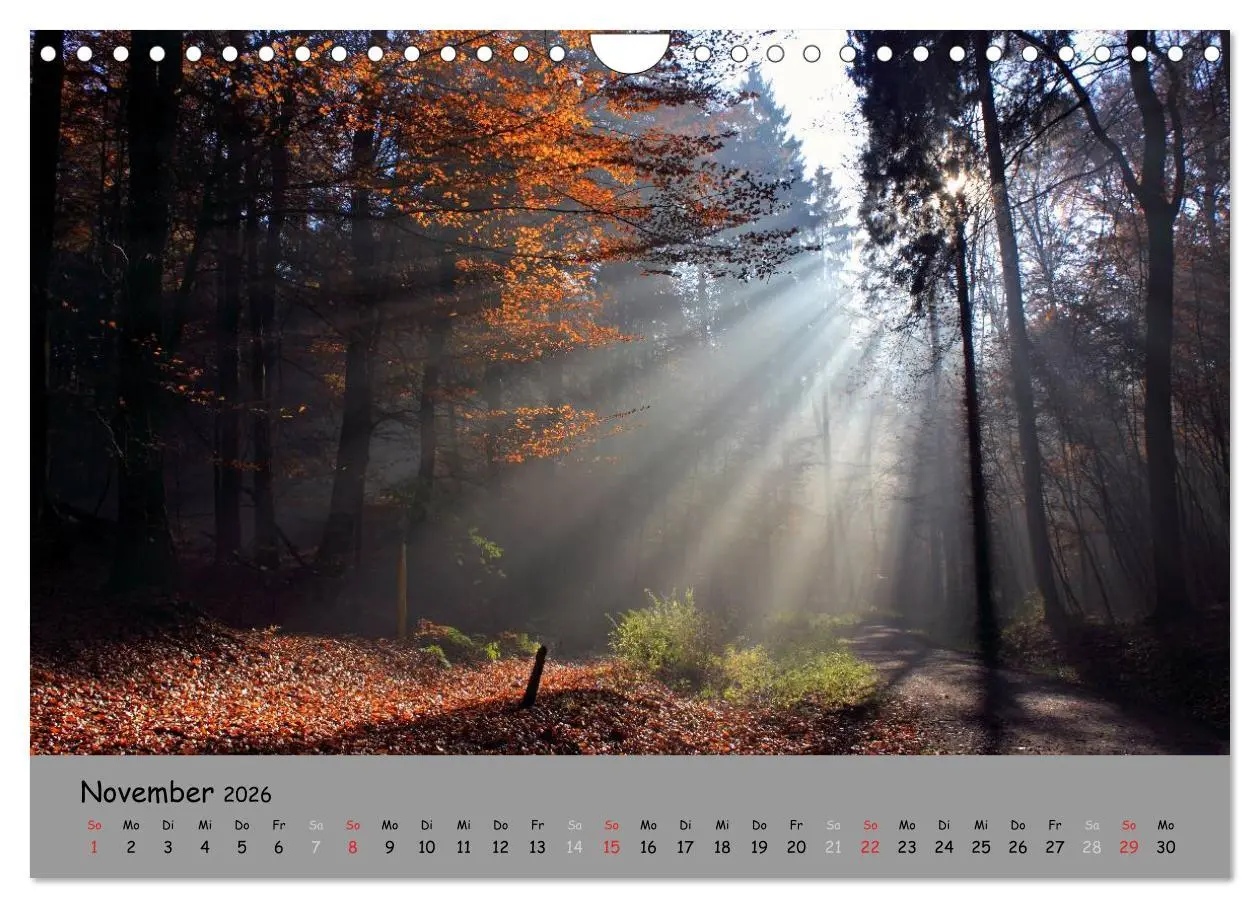 Bild: 9783516108200 | Lüneburger Heide - schön zu jeder Jahreszeit (Wandkalender 2026 DIN...