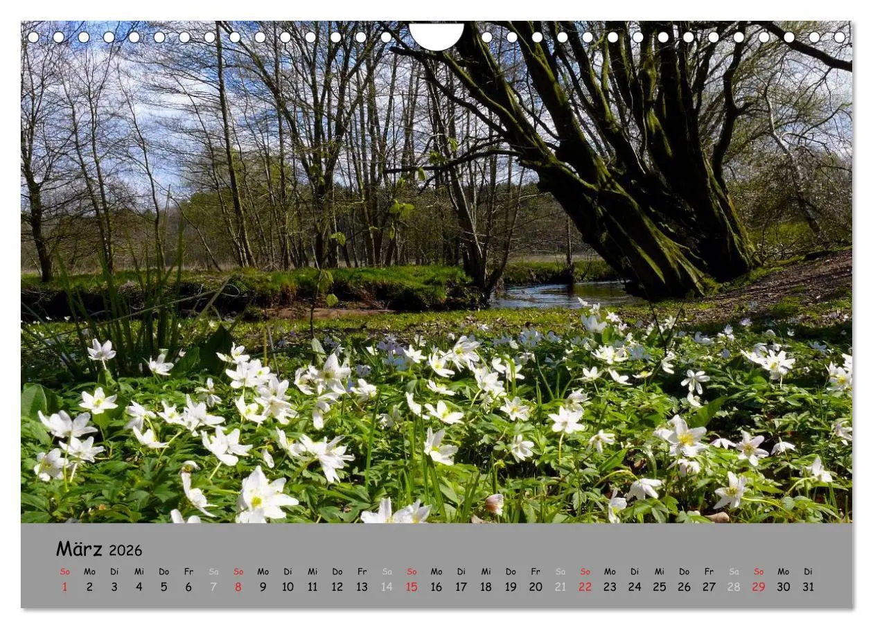 Bild: 9783516108200 | Lüneburger Heide - schön zu jeder Jahreszeit (Wandkalender 2026 DIN...