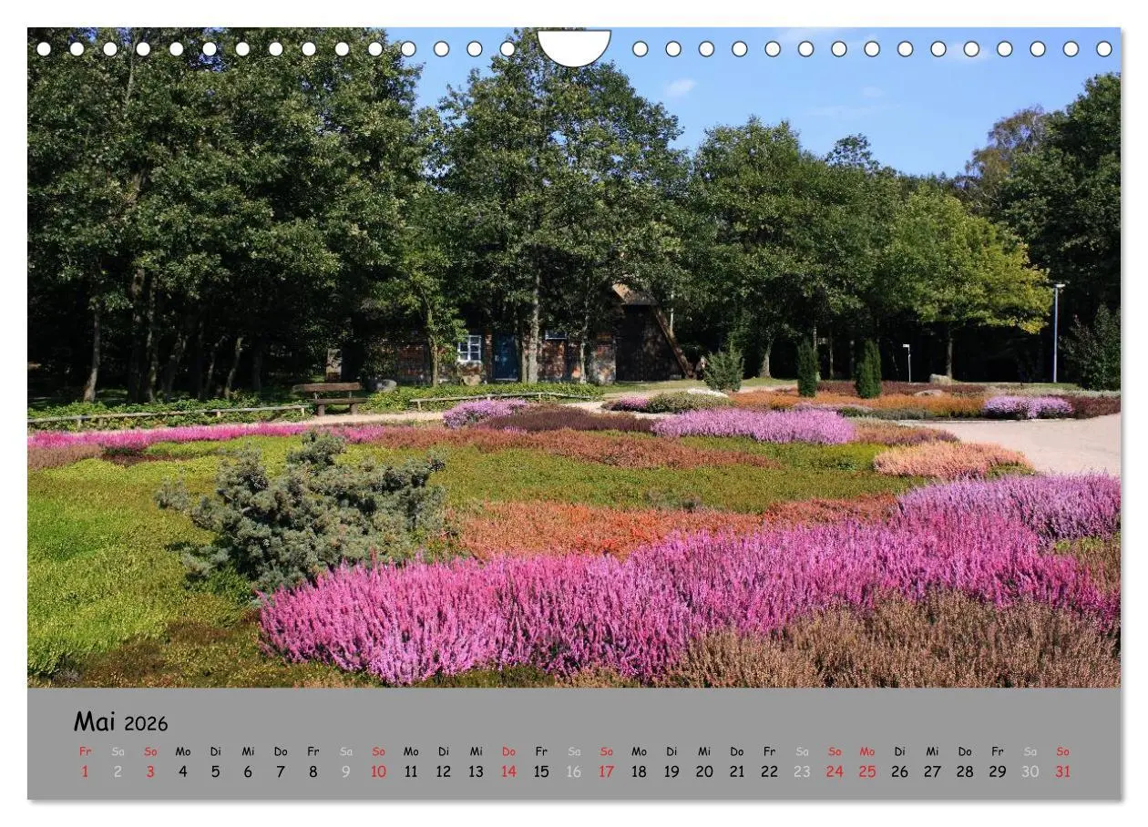 Bild: 9783516108200 | Lüneburger Heide - schön zu jeder Jahreszeit (Wandkalender 2026 DIN...