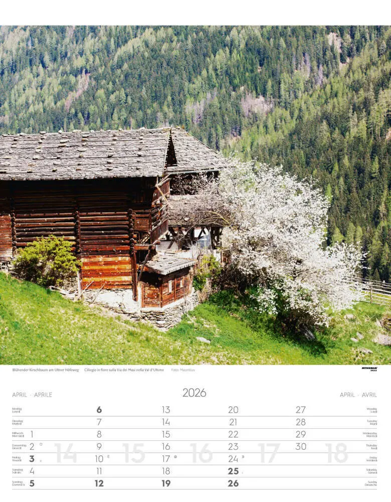 Bild: 9788868398200 | Südtirol Kalender 2026 | Alto Adige - South Tyrol | Verlag | Kalender