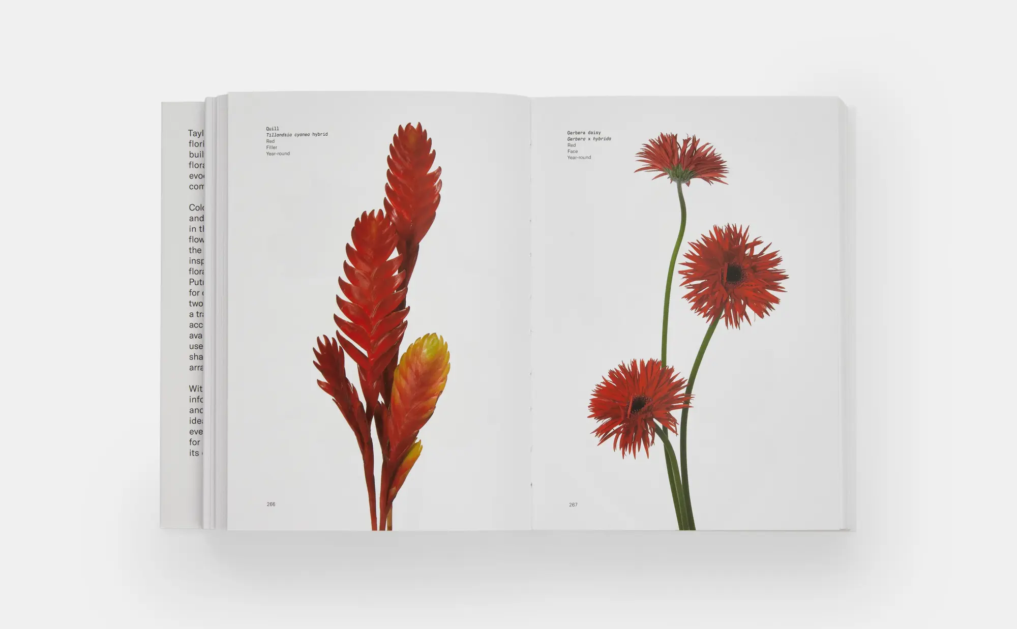 Bild: 9780714878300 | Flower Colour Guide | Darroch Putnam (u. a.) | Taschenbuch | 485 S.