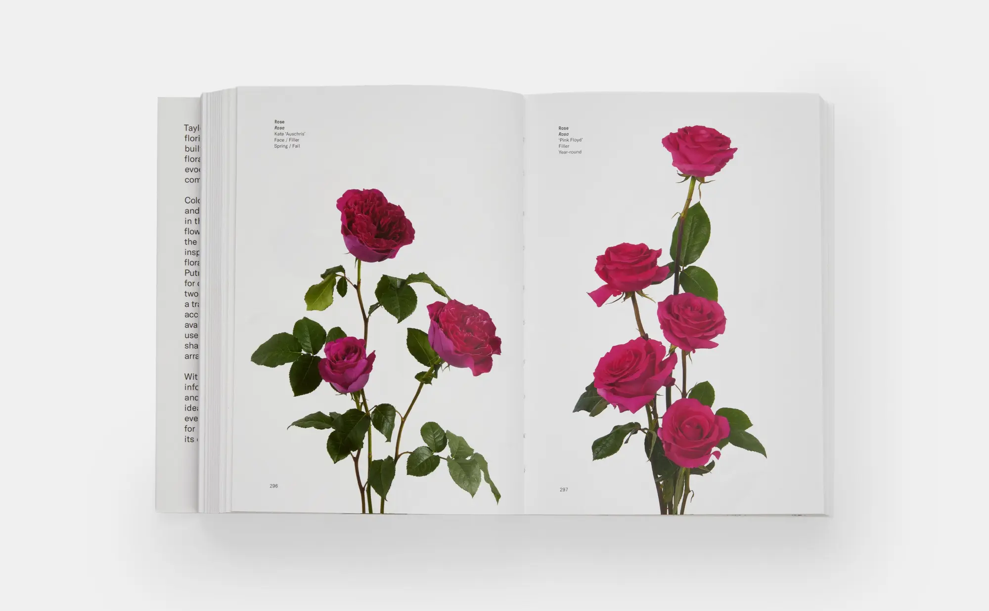 Bild: 9780714878300 | Flower Colour Guide | Darroch Putnam (u. a.) | Taschenbuch | 485 S.