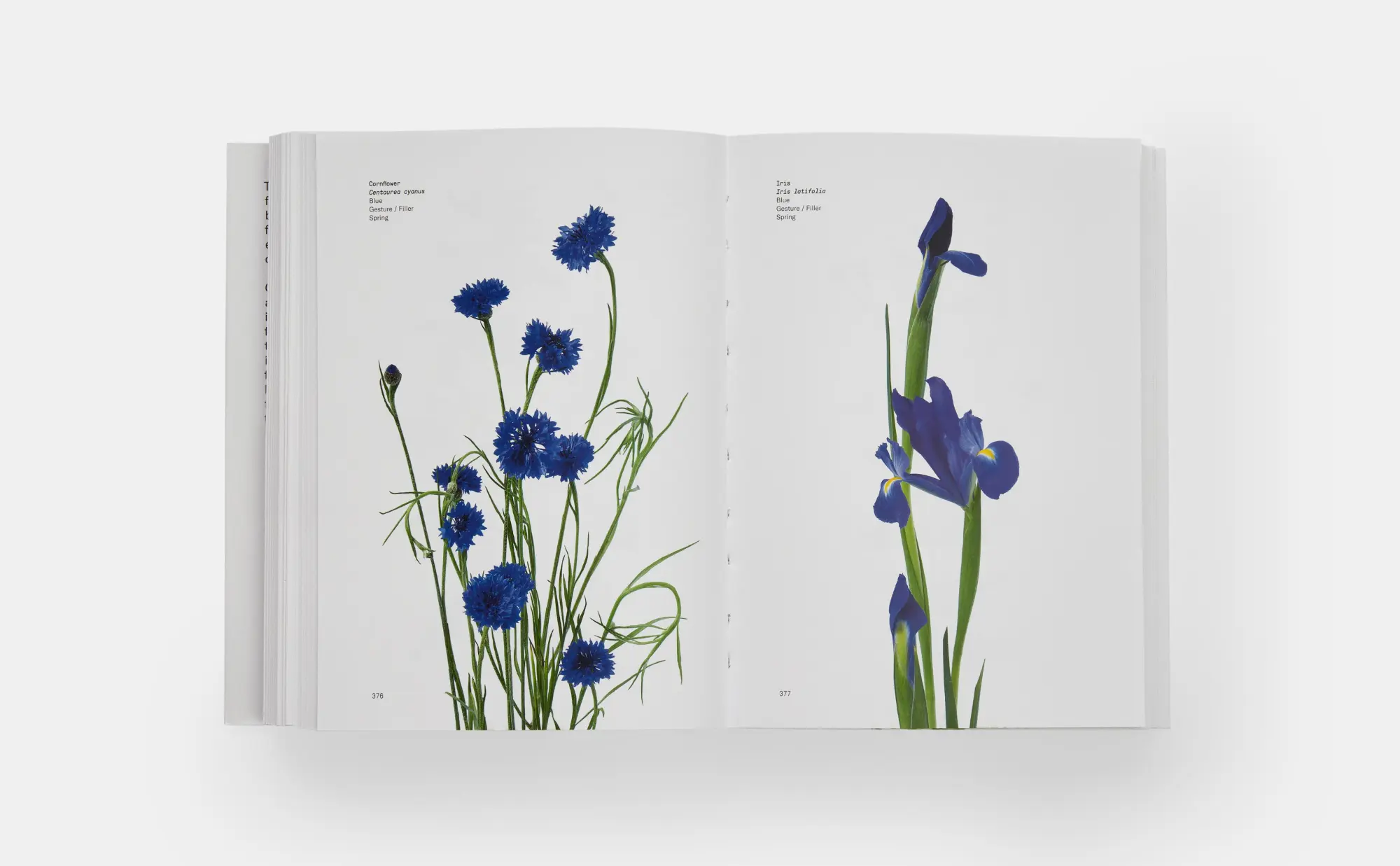 Bild: 9780714878300 | Flower Colour Guide | Darroch Putnam (u. a.) | Taschenbuch | 485 S.