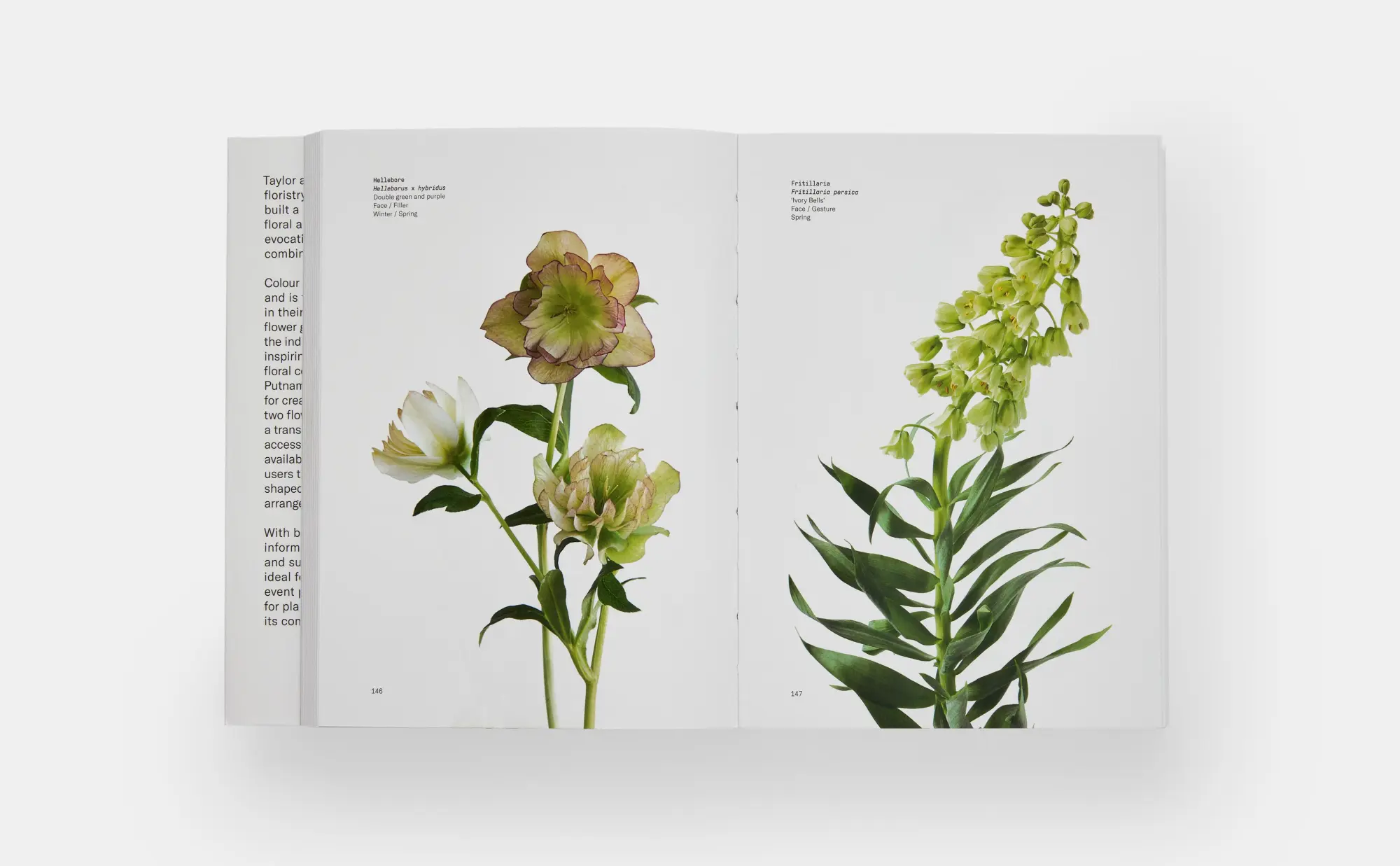 Bild: 9780714878300 | Flower Colour Guide | Darroch Putnam (u. a.) | Taschenbuch | 485 S.