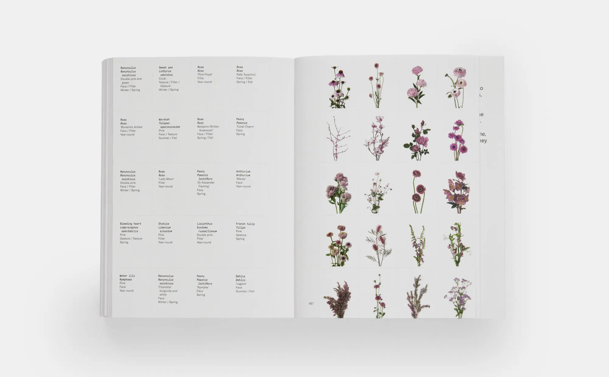 Bild: 9780714878300 | Flower Colour Guide | Darroch Putnam (u. a.) | Taschenbuch | 485 S.