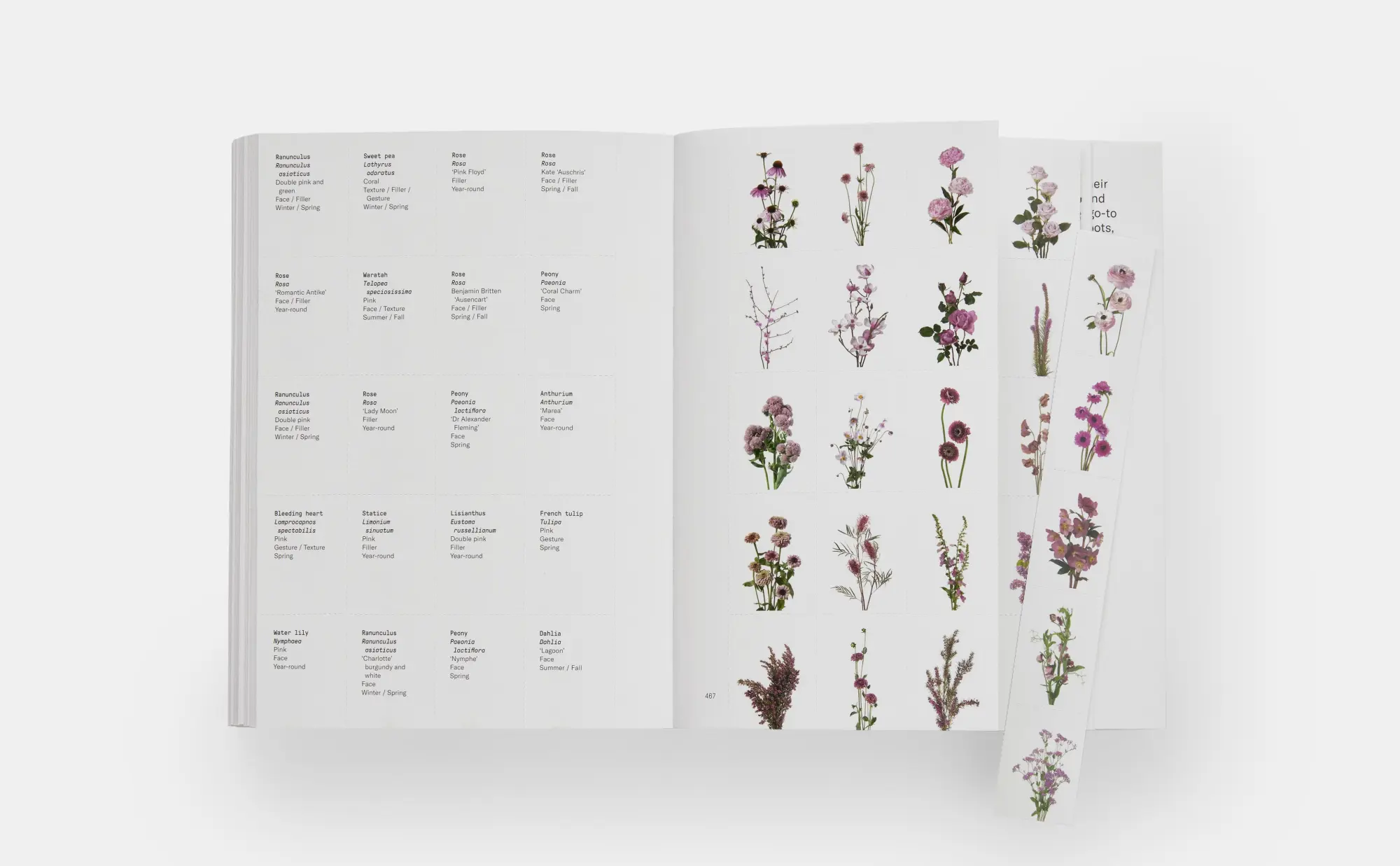 Bild: 9780714878300 | Flower Colour Guide | Darroch Putnam (u. a.) | Taschenbuch | 485 S.