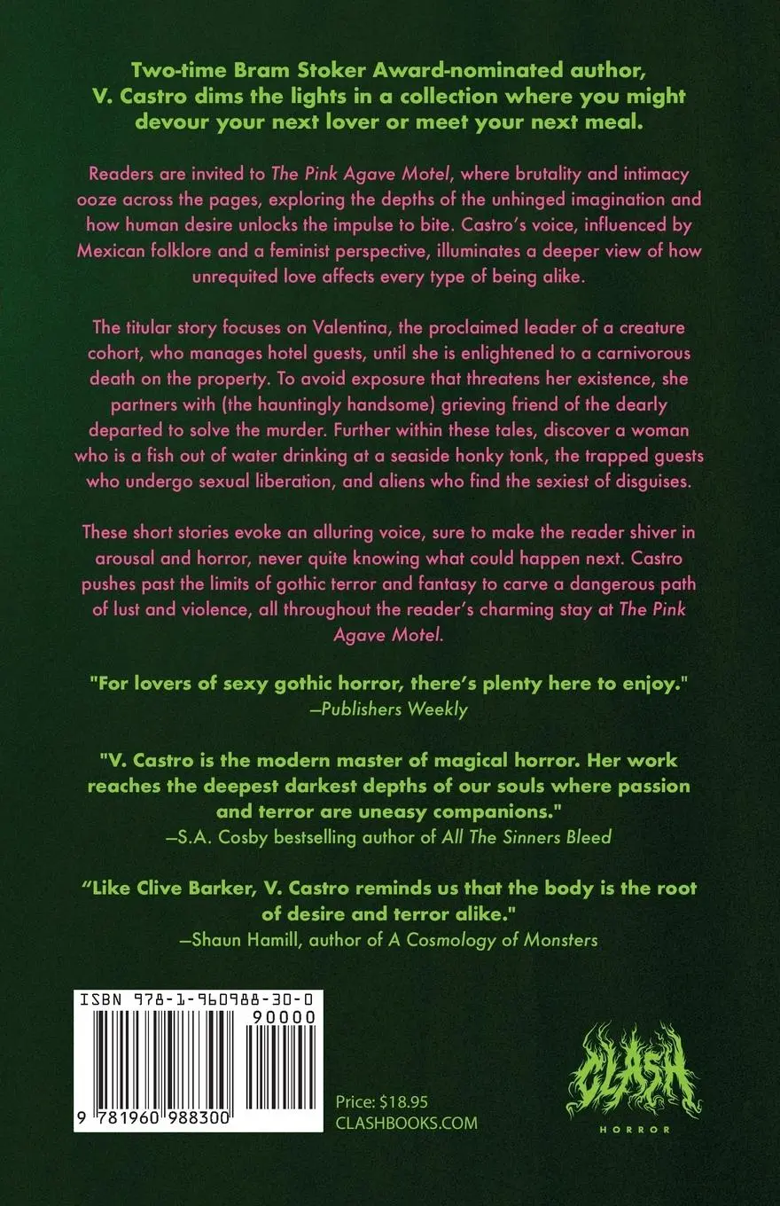 Rückseite: 9781960988300 | The Pink Agave Motel | &amp; Other Stories | V. Castro | Taschenbuch