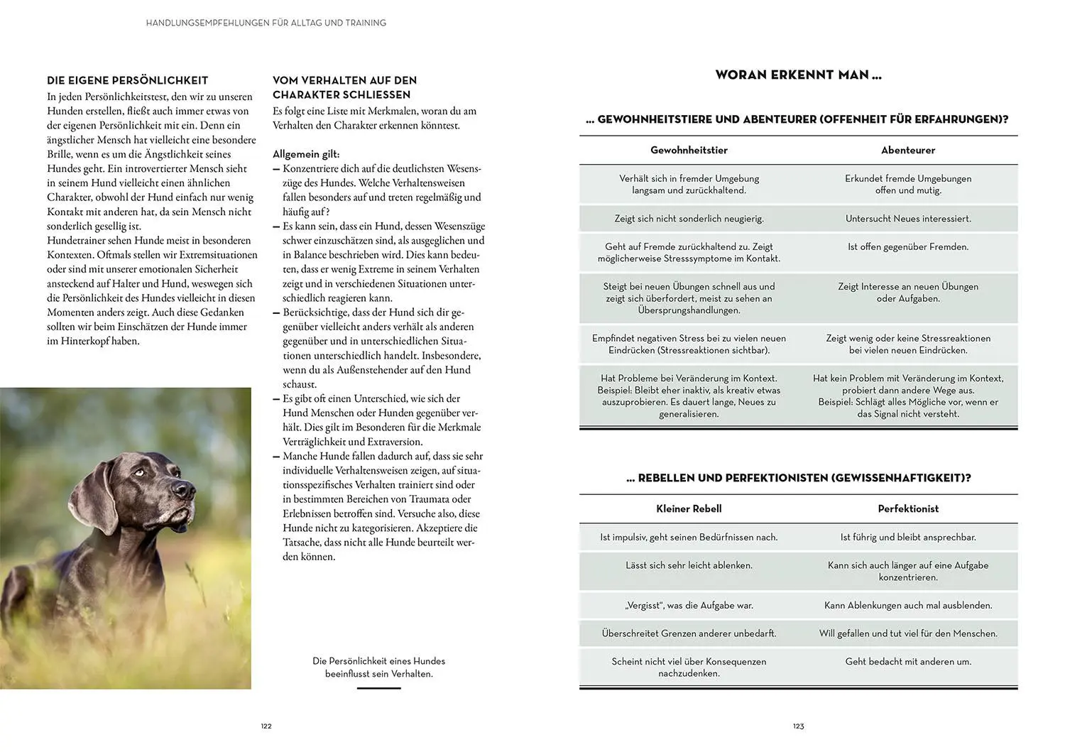 Bild: 9783440178300 | Persönlichkeitsanalyse für Hunde | Hanna David | Taschenbuch | 136 S.