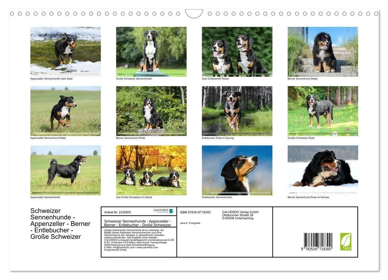 Bild: 9783516718300 | Schweizer Sennenhunde - Appenzeller - Berner - Entlebucher - Große...