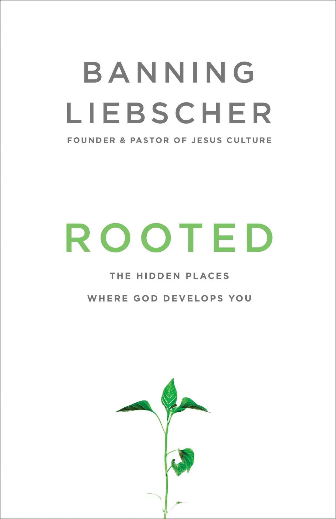Cover: 9781601428400 | Rooted | The Hidden Places Where God Develops You | Banning Liebscher