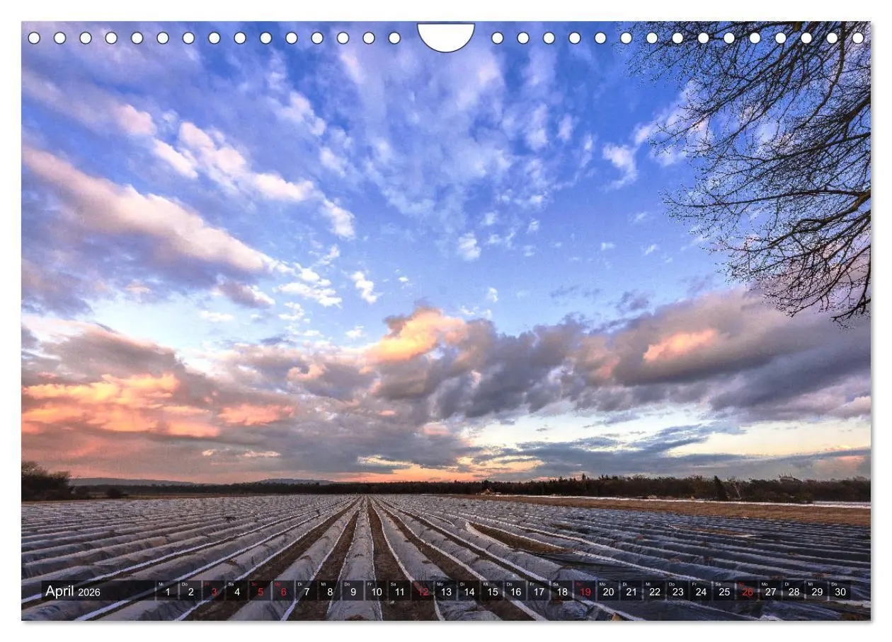 Bild: 9783457928400 | Ketsch am Rhein (Wandkalender 2026 DIN A4 quer), CALVENDO...