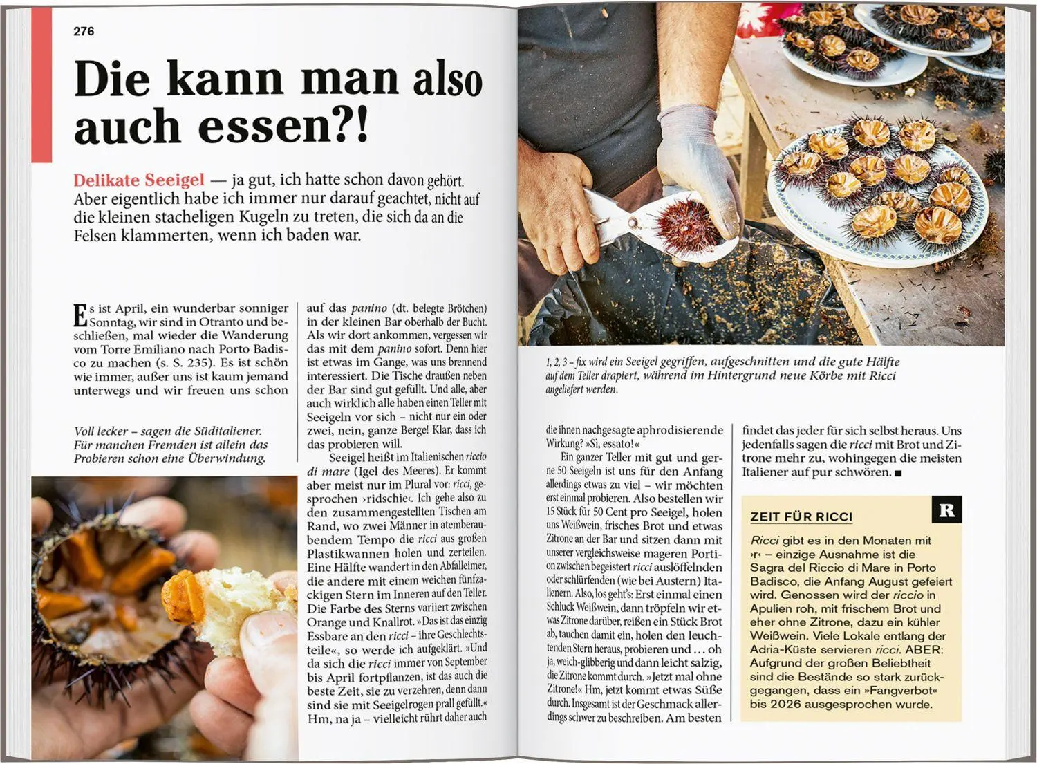 Bild: 9783616008400 | DUMONT Reise-Taschenbuch Reiseführer Apulien | Jacqueline Christoph