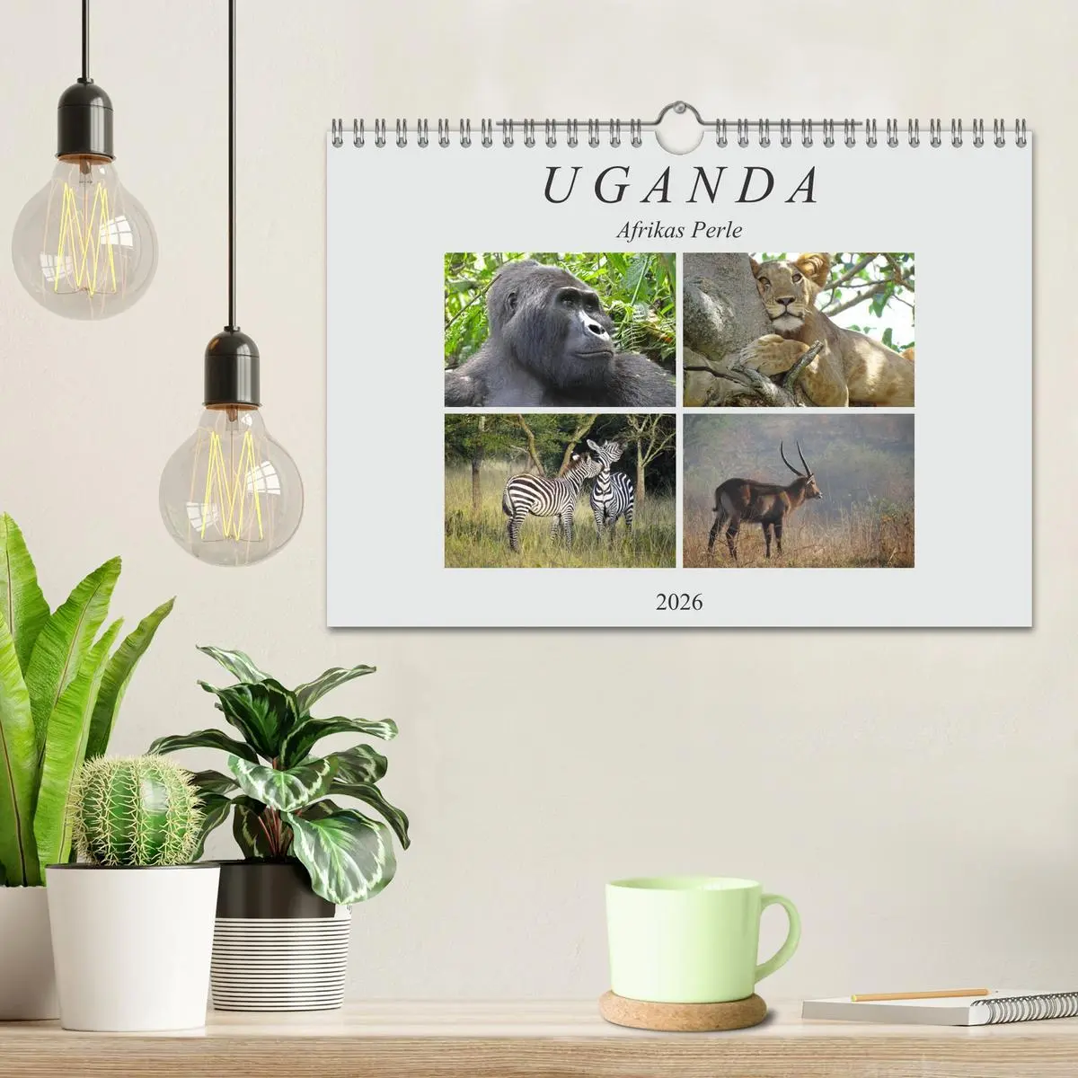 Bild: 9783457918500 | Afrikas Perle Uganda (Wandkalender 2026 DIN A4 quer), CALVENDO...