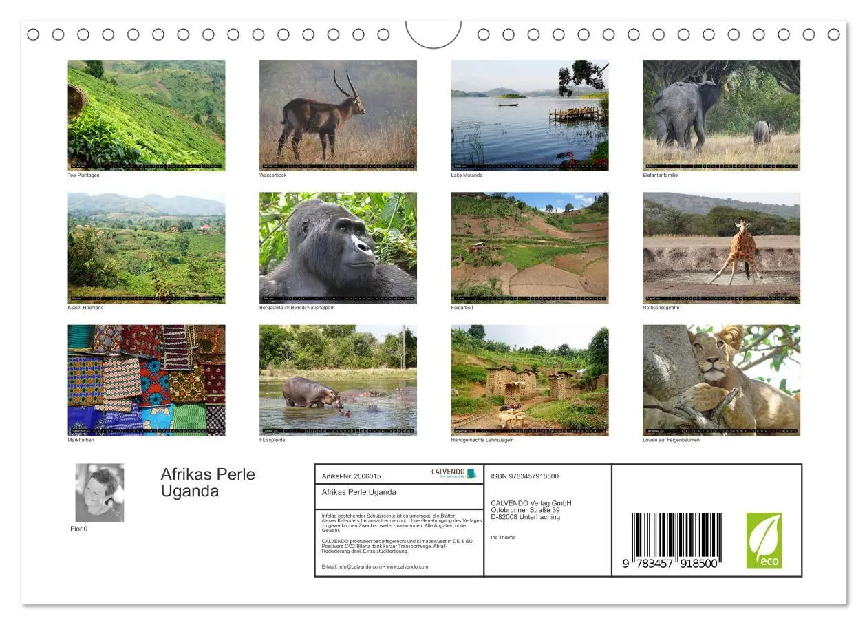 Bild: 9783457918500 | Afrikas Perle Uganda (Wandkalender 2026 DIN A4 quer), CALVENDO...