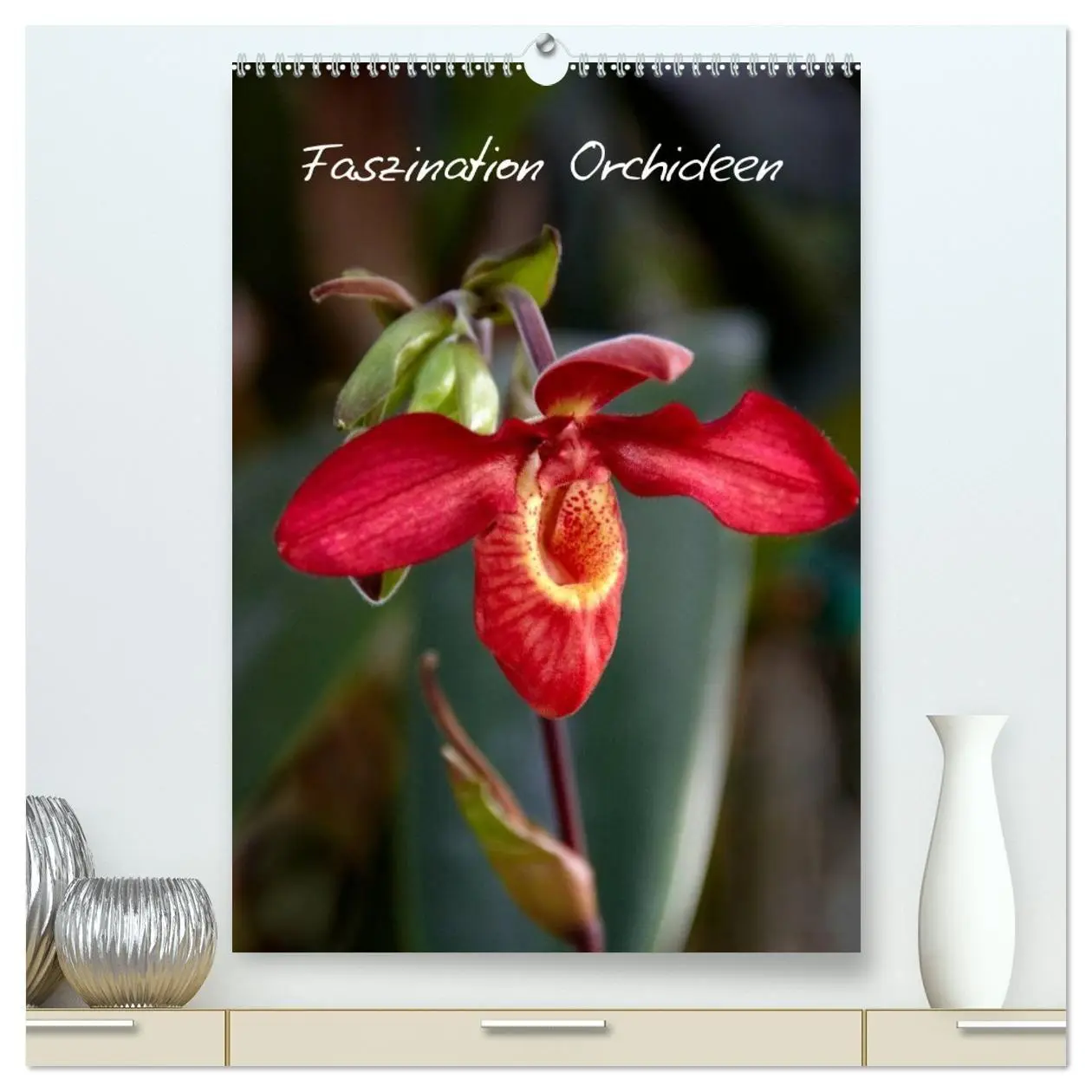 Cover: 9783594228500 | Faszination Orchideen (hochwertiger Premium Wandkalender 2027 DIN...