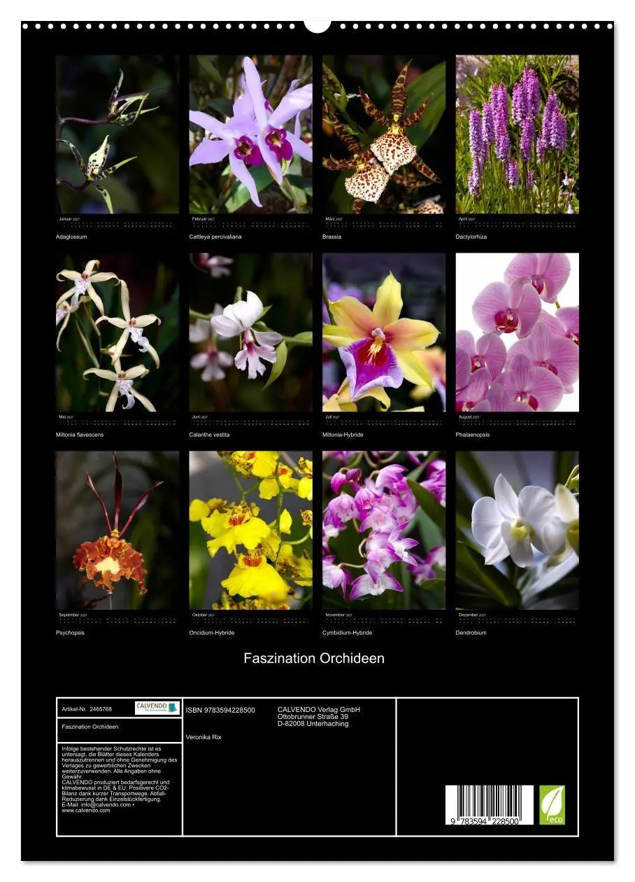 Bild: 9783594228500 | Faszination Orchideen (hochwertiger Premium Wandkalender 2027 DIN...