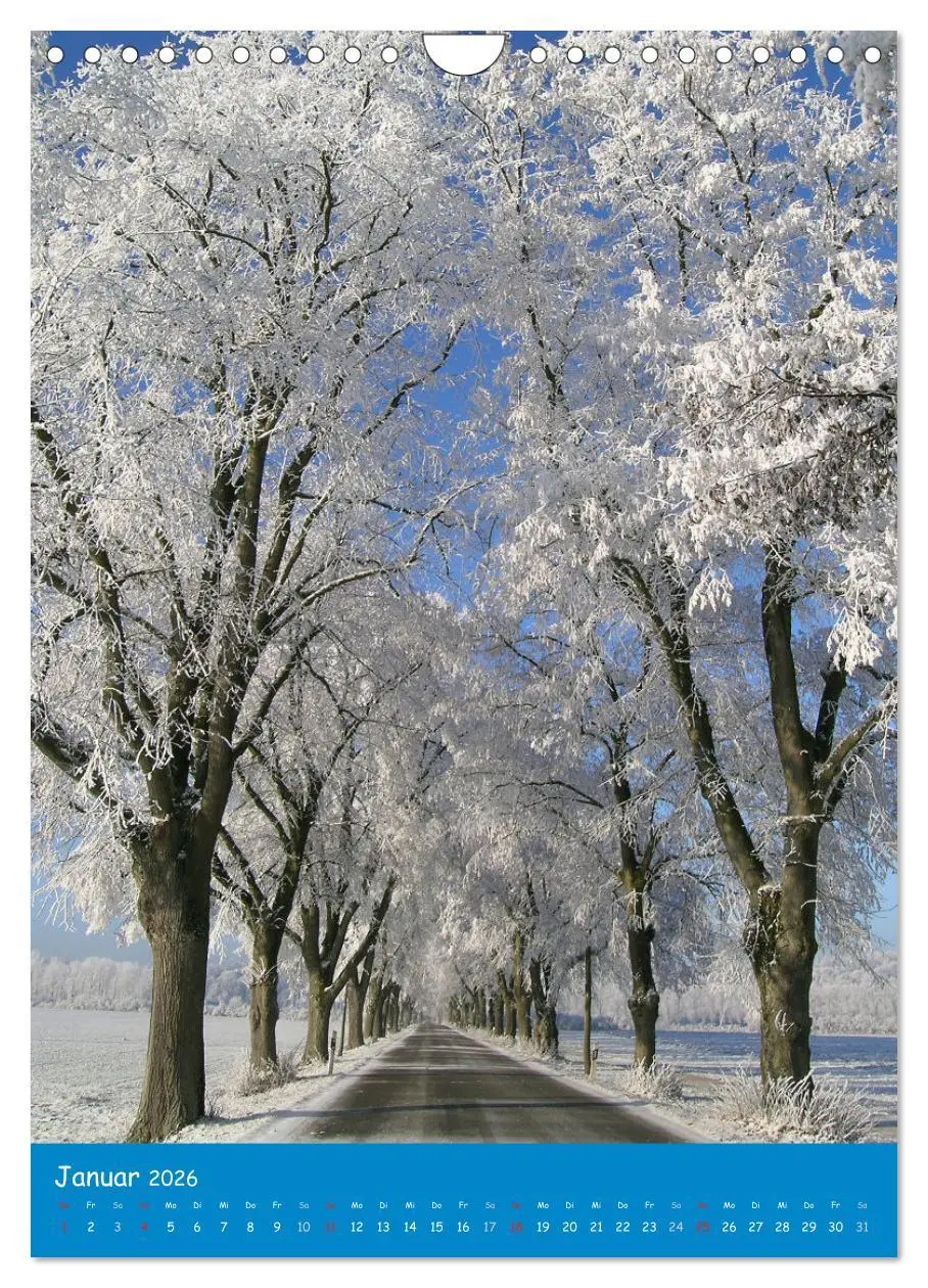 Bild: 9783516478600 | Spaziergang durch Augsburg (Wandkalender 2026 DIN A4 hoch),...