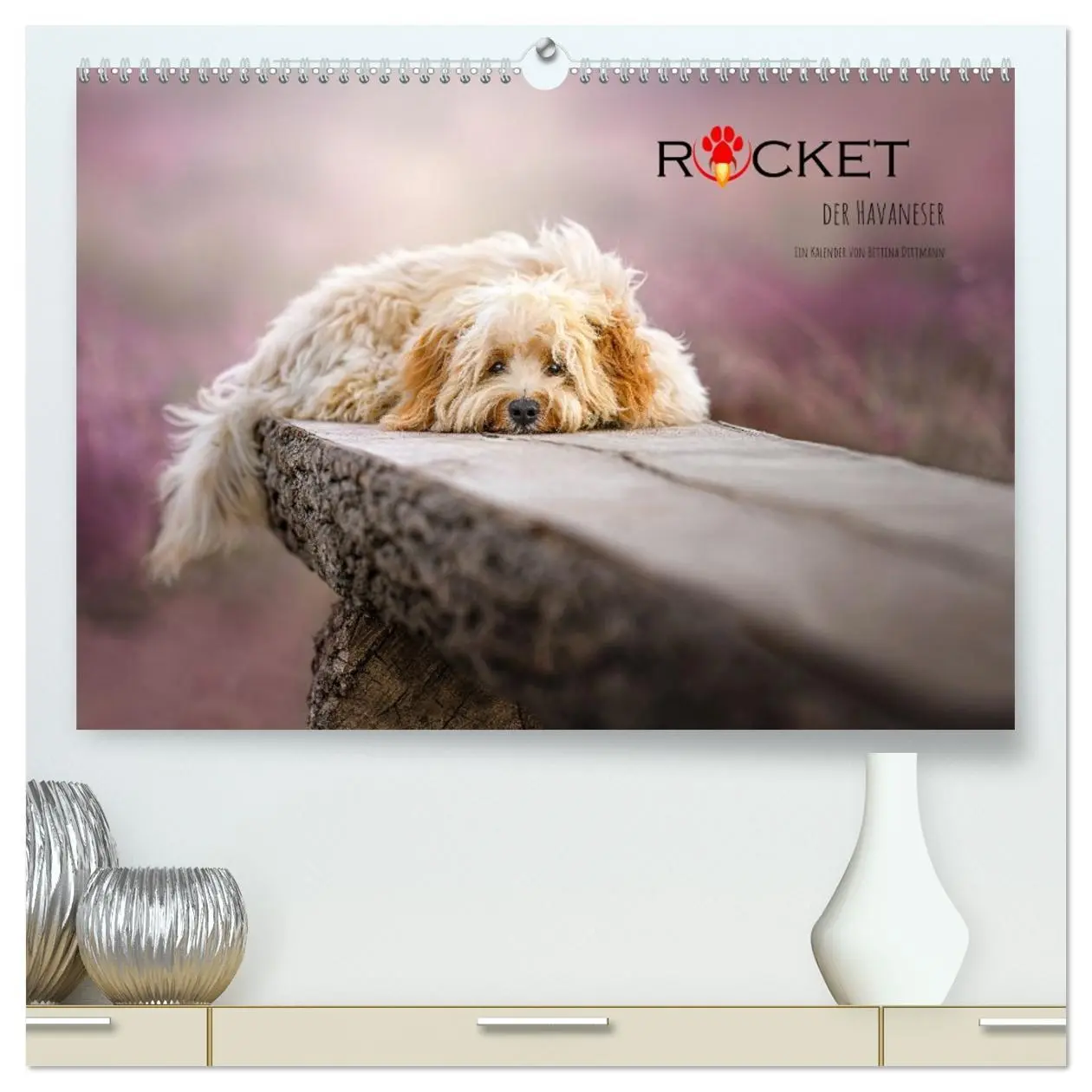 Cover: 9783457448700 | Rocket der Havaneser (hochwertiger Premium Wandkalender 2026 DIN A2...