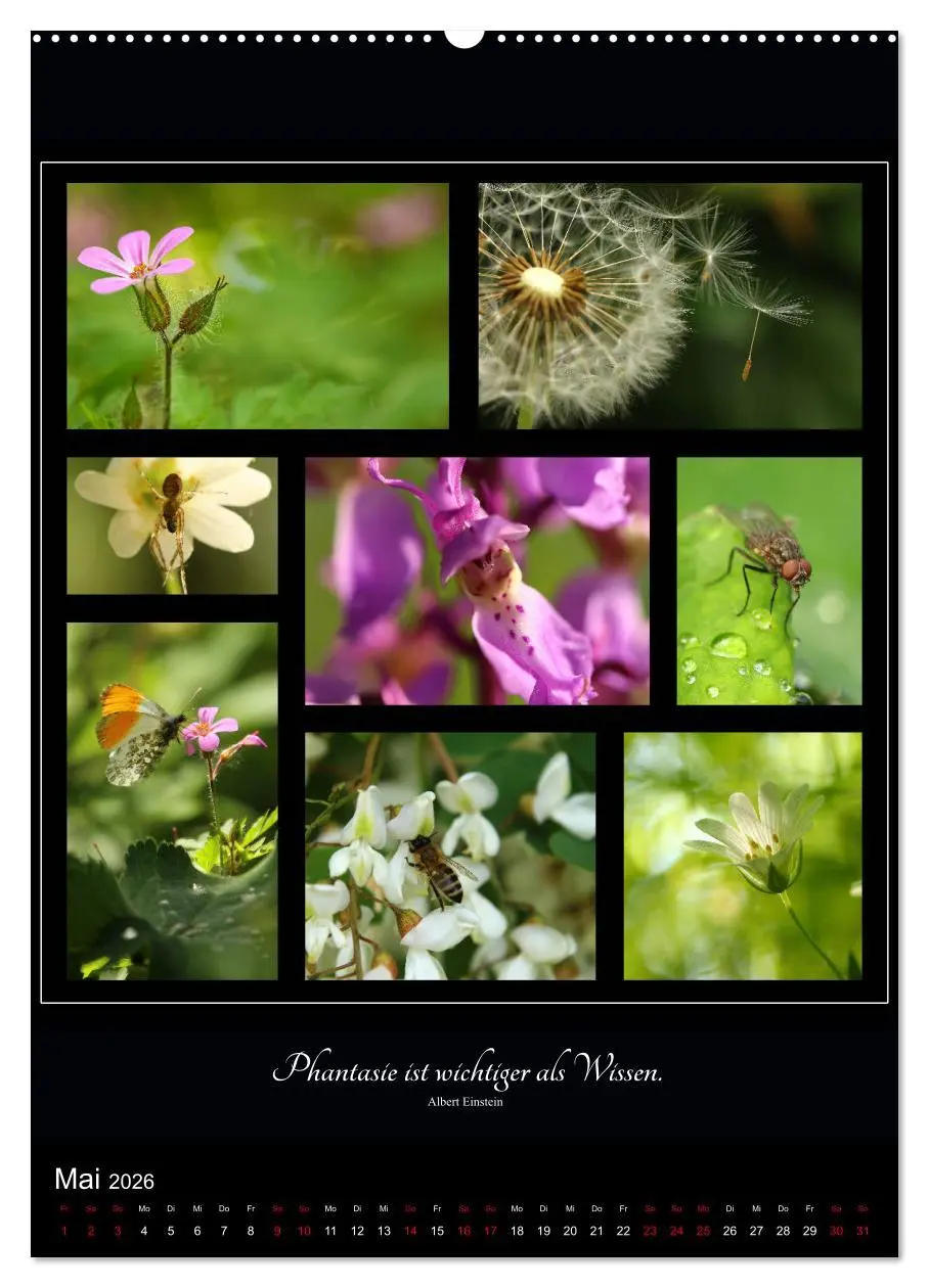 Bild: 9783516398700 | Sprache in Bildern - Collagen aus der Natur (Wandkalender 2026 DIN...