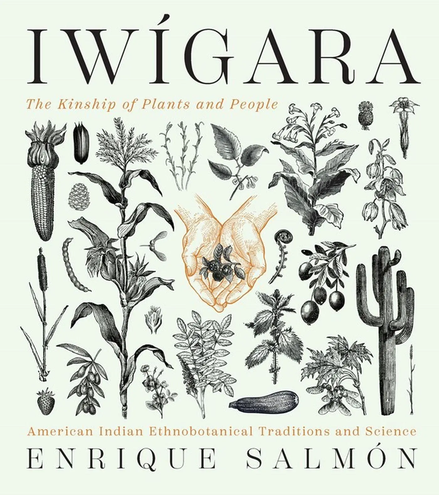 Cover: 9781604698800 | Iwigara | American Indian Ethnobotanical Traditions and Science | Buch
