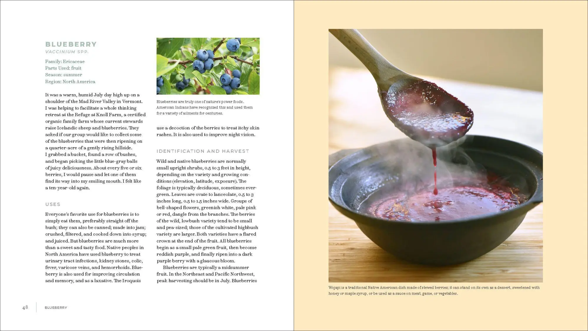 Bild: 9781604698800 | Iwigara | American Indian Ethnobotanical Traditions and Science | Buch