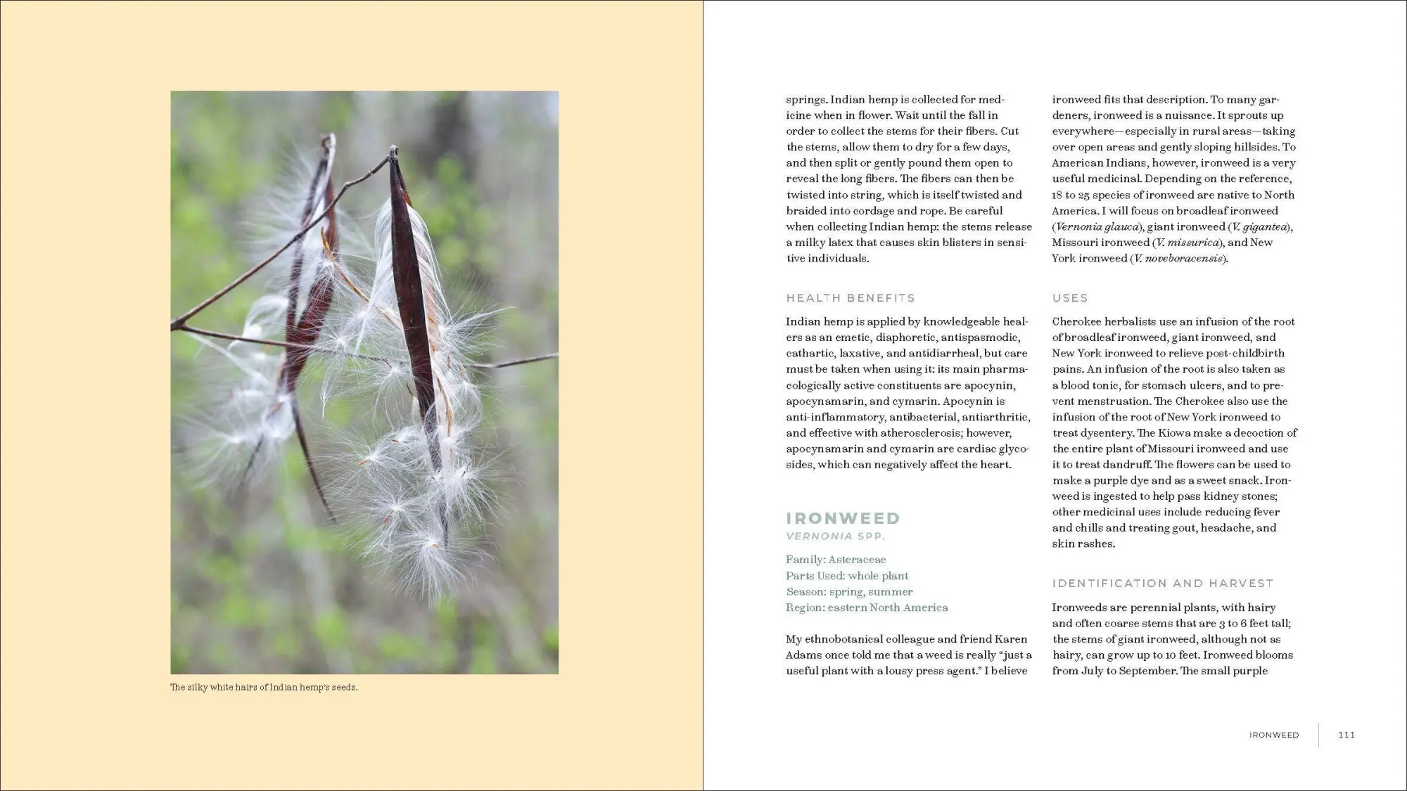 Bild: 9781604698800 | Iwigara | American Indian Ethnobotanical Traditions and Science | Buch
