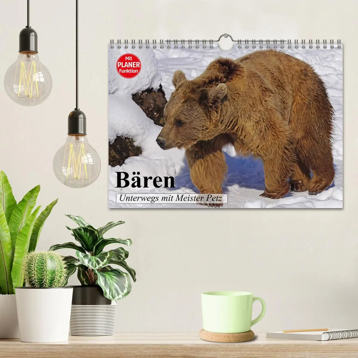 Bild: 9783457988800 | Bären. Unterwegs mit Meister Petz (Wandkalender 2026 DIN A4 quer),...