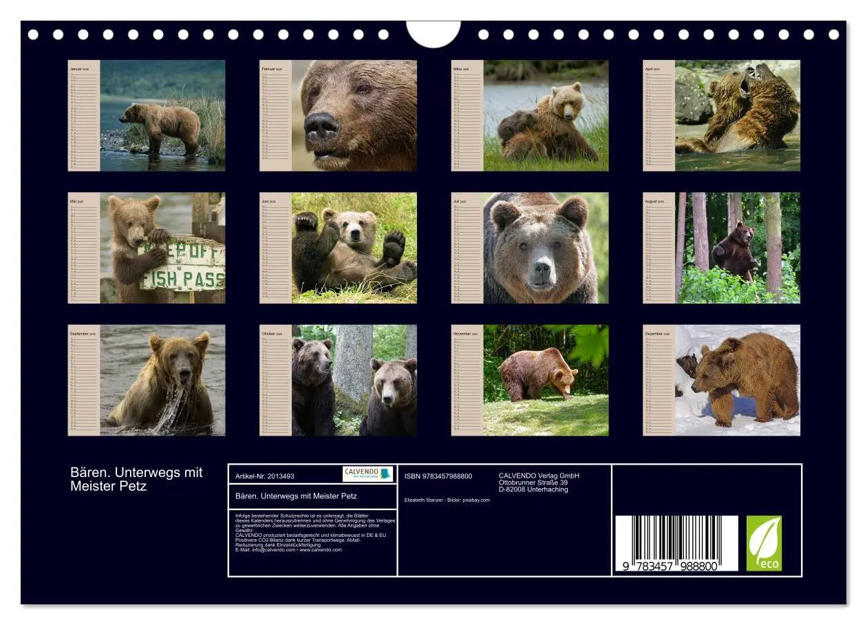 Bild: 9783457988800 | Bären. Unterwegs mit Meister Petz (Wandkalender 2026 DIN A4 quer),...