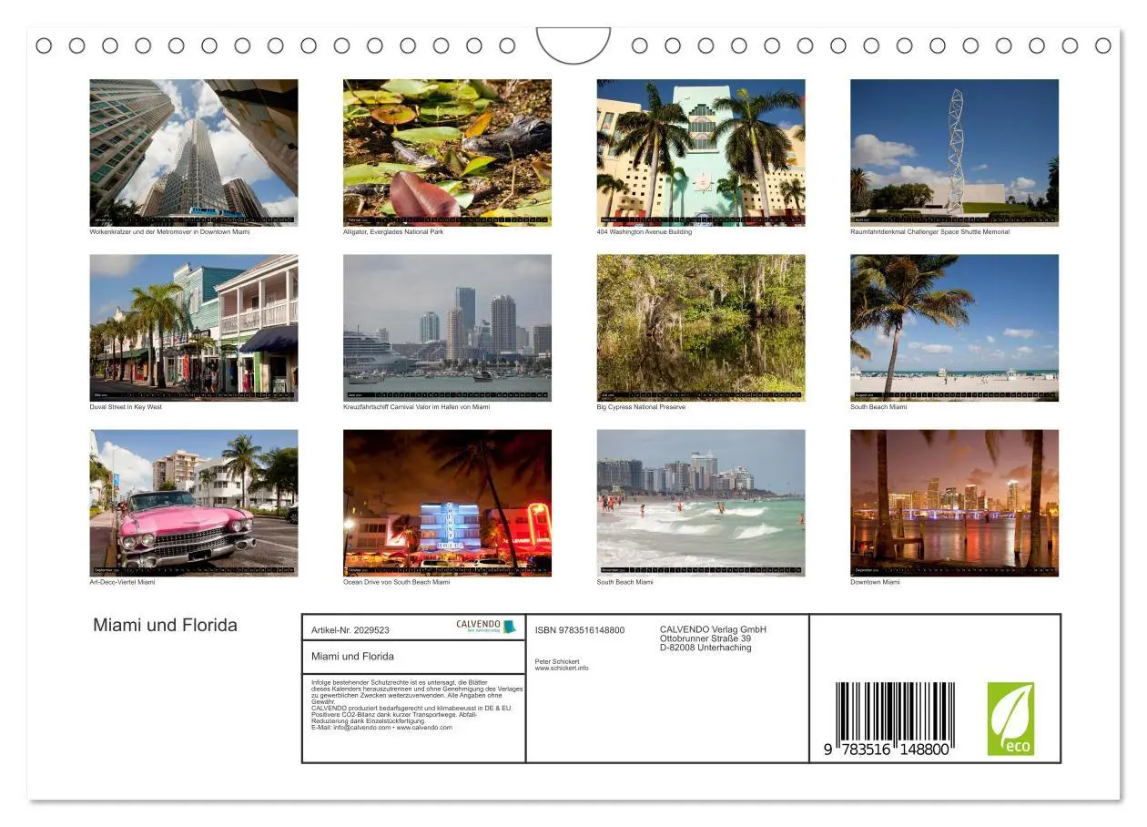 Bild: 9783516148800 | Miami und Florida (Wandkalender 2026 DIN A4 quer), CALVENDO...