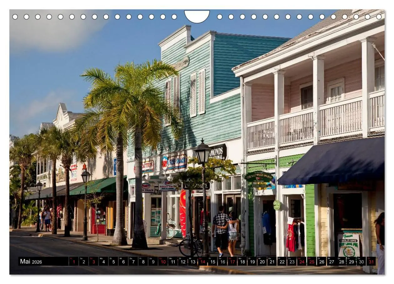 Bild: 9783516148800 | Miami und Florida (Wandkalender 2026 DIN A4 quer), CALVENDO...