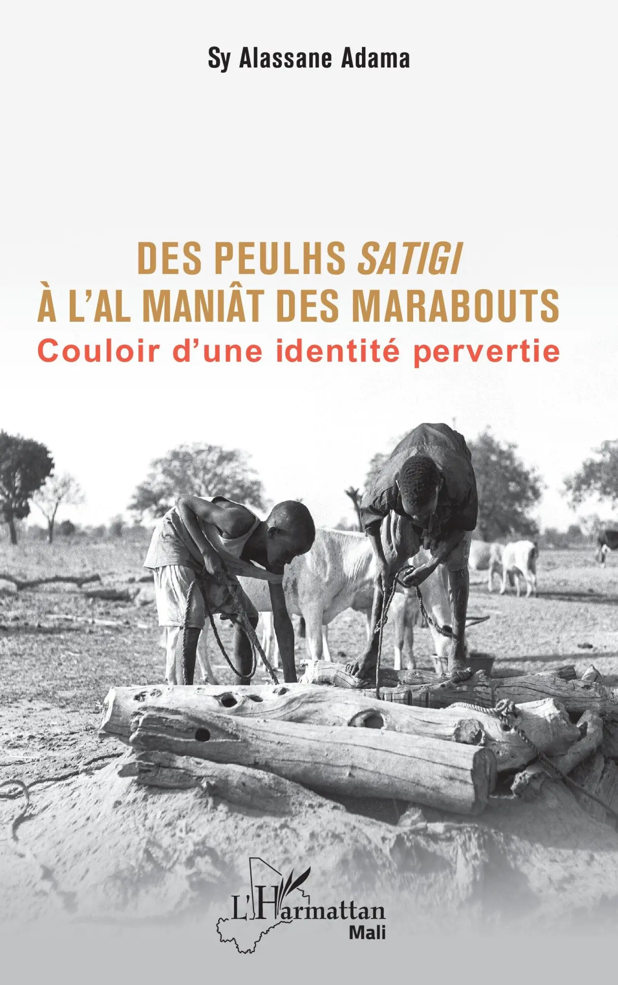 Cover: 9782336438900 | Des Peulhs satigi à l'Al maniât des marabouts | Sy Alassane Adama