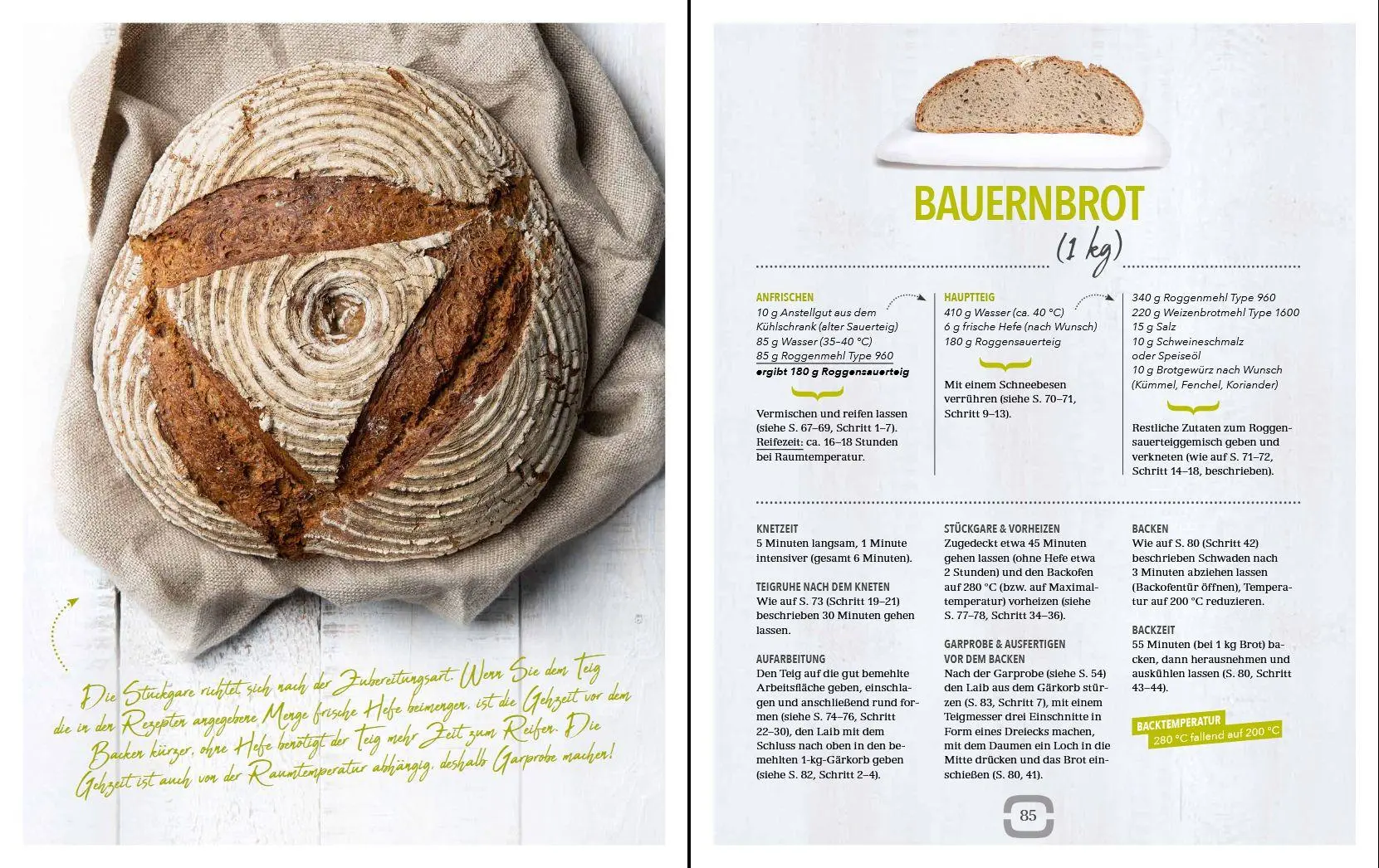 Bild: 9783702018900 | Backen mit Roggensauerteig | Gelingsicher und einfach | Ofner | Buch