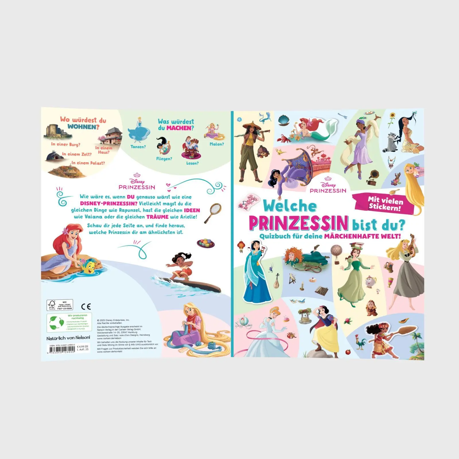 Bild: 9783845128900 | Disney Prinzessin: Welche Prinzessin bist du? | Mit vielen Stickern!