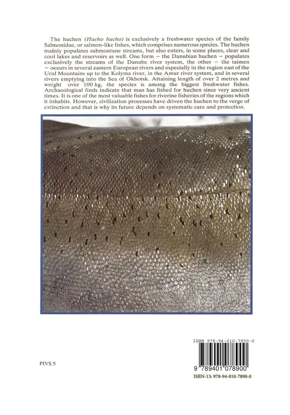 Rückseite: 9789401078900 | The Eurasian Huchen, Hucho hucho | Largest Salmon of the World | Buch