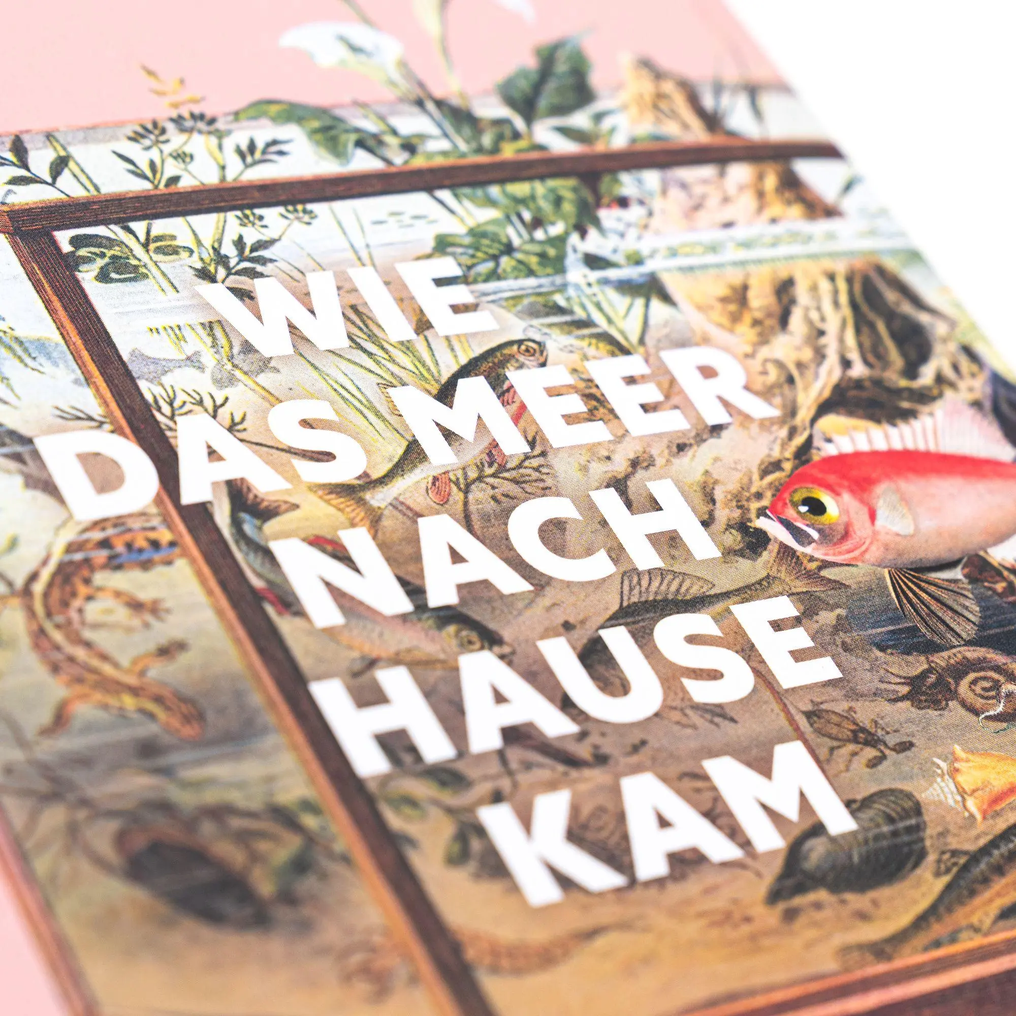 Bild: 9783365009000 | Wie das Meer nach Hause kam. Die Erfindung des Aquariums | Brunner