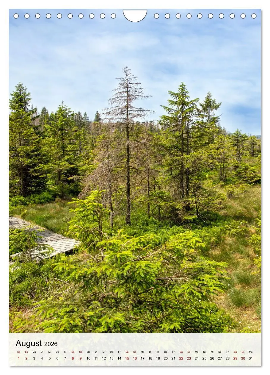 Bild: 9783457249000 | Harzer Landschaften - 12 Monate im Naturparadies Harz (Wandkalender...